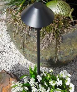 APOLLO 2in1 Pollare 65cm Svart IP44