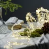 DEW DROP Ljusslinga 80cm 2000K Silver Varmvit