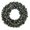EDMONTON Krans 70cm 60LED IP44 Grön