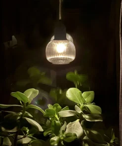 ELIN Fönsterlampa 15cm Svart/Rökgrå
