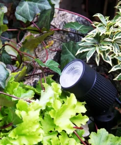 MEDUSA Trädgårdsspot 8,5cm 12V Svart IP67