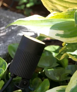 MEDUSA Trädgårdsspot 8,5cm 12V Svart IP67